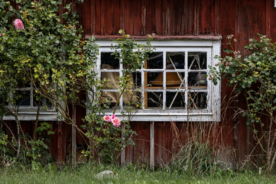 Conoce las principales causas de deterioro de la madera en exteriores