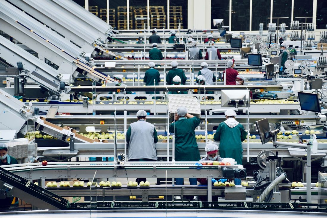 Revestimientos de paredes para el sector alimentario