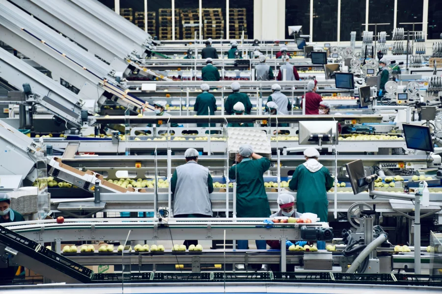 Revestimientos de paredes para el sector alimentario